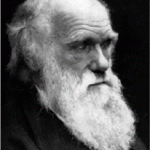 darwin1